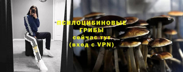 прущий лед Нефтегорск