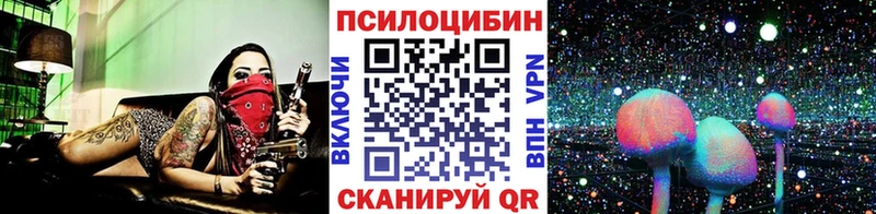 Галлюциногенные грибы Cubensis  Купить  Кодинск 